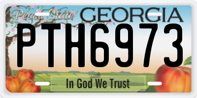 GA license plate PTH6973