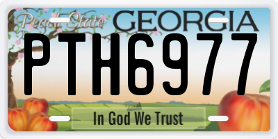GA license plate PTH6977