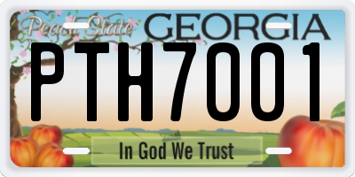 GA license plate PTH7001
