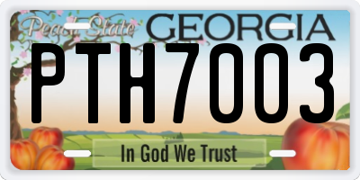 GA license plate PTH7003
