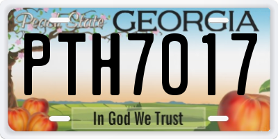 GA license plate PTH7017