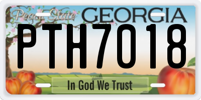 GA license plate PTH7018