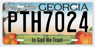 GA license plate PTH7024