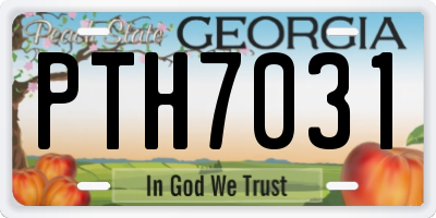 GA license plate PTH7031