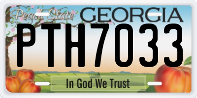 GA license plate PTH7033