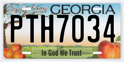 GA license plate PTH7034