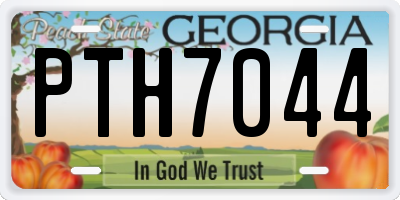 GA license plate PTH7044