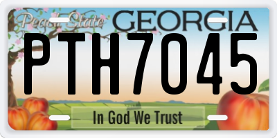 GA license plate PTH7045