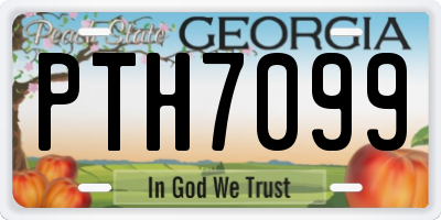 GA license plate PTH7099