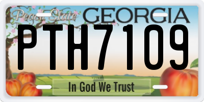 GA license plate PTH7109