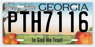 GA license plate PTH7116