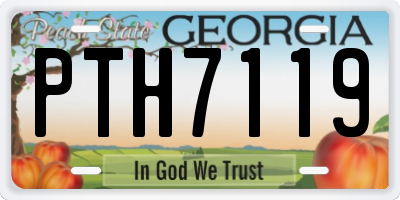 GA license plate PTH7119