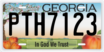 GA license plate PTH7123