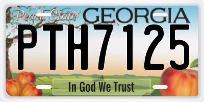 GA license plate PTH7125