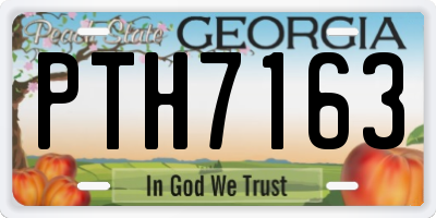 GA license plate PTH7163