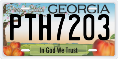 GA license plate PTH7203