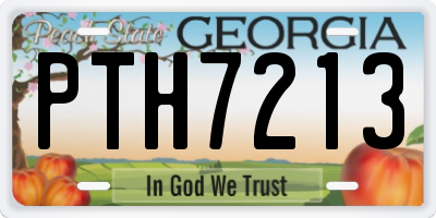 GA license plate PTH7213