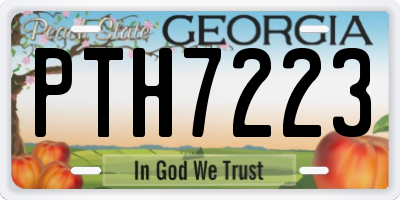 GA license plate PTH7223