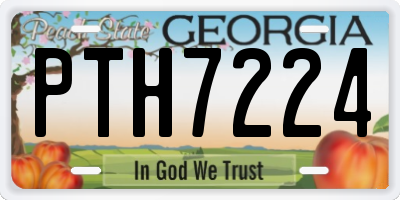 GA license plate PTH7224