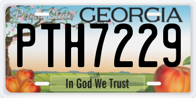GA license plate PTH7229