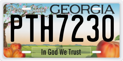 GA license plate PTH7230