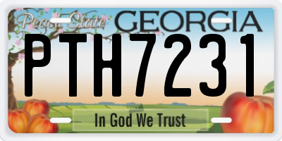 GA license plate PTH7231