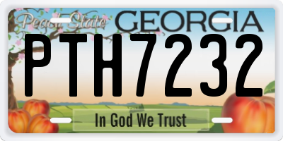 GA license plate PTH7232