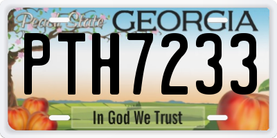 GA license plate PTH7233