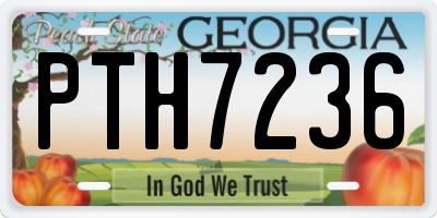 GA license plate PTH7236