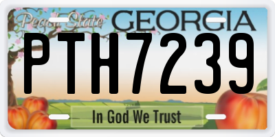 GA license plate PTH7239