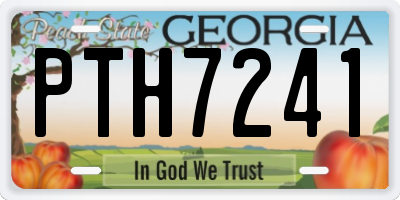 GA license plate PTH7241