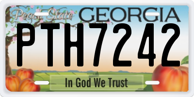 GA license plate PTH7242