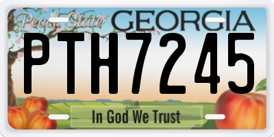GA license plate PTH7245