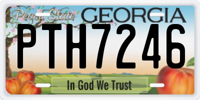 GA license plate PTH7246