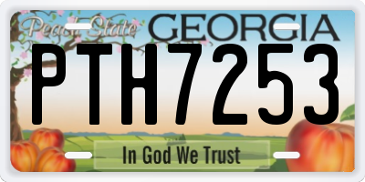 GA license plate PTH7253