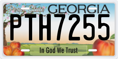 GA license plate PTH7255