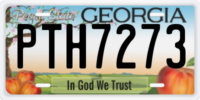 GA license plate PTH7273