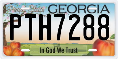 GA license plate PTH7288