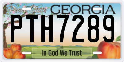 GA license plate PTH7289