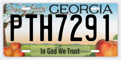 GA license plate PTH7291