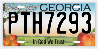 GA license plate PTH7293