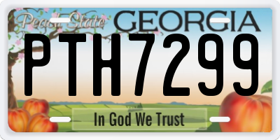 GA license plate PTH7299