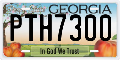 GA license plate PTH7300