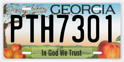 GA license plate PTH7301