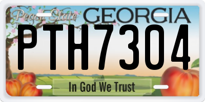 GA license plate PTH7304