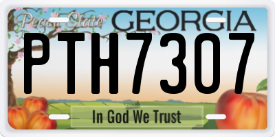 GA license plate PTH7307
