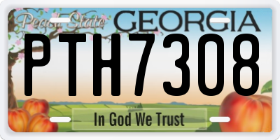 GA license plate PTH7308
