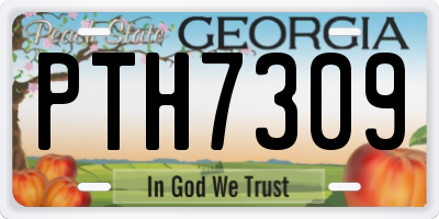 GA license plate PTH7309