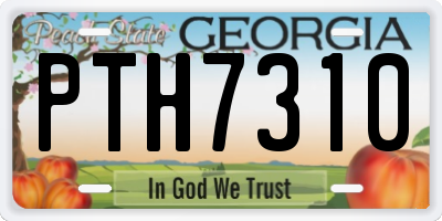 GA license plate PTH7310