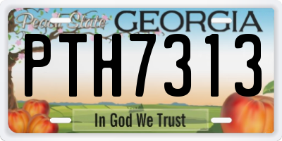 GA license plate PTH7313